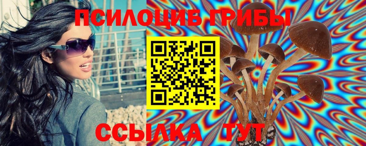 Псилоцибиновые грибы ЛСД Гатчина