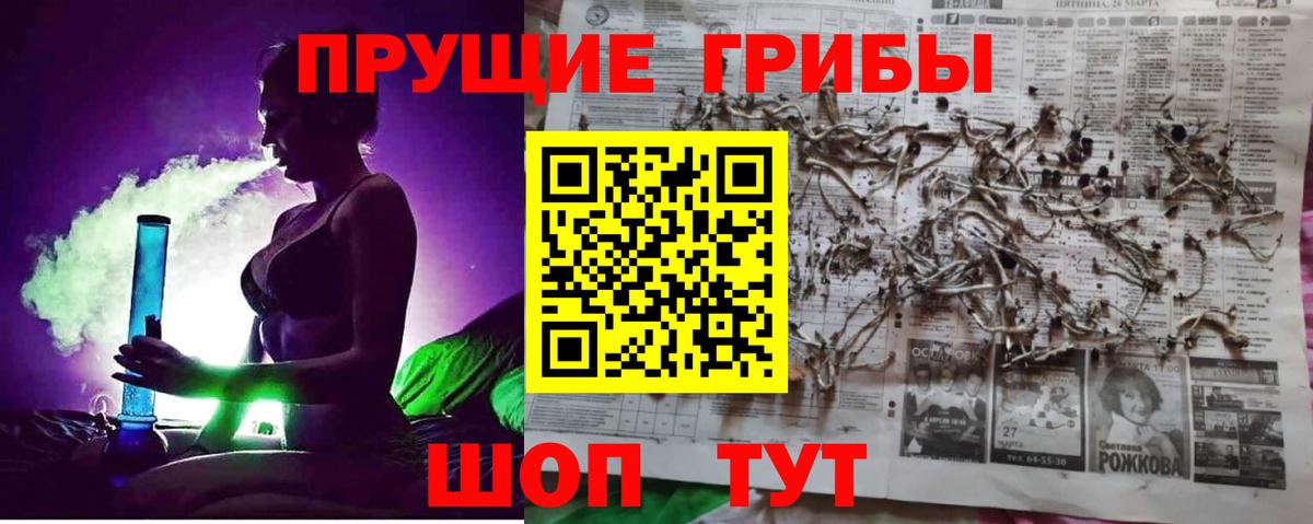 Галлюциногенные грибы Cubensis  Вход с VPN  Гатчина  Псилоцибиновые грибы Psilocybe 